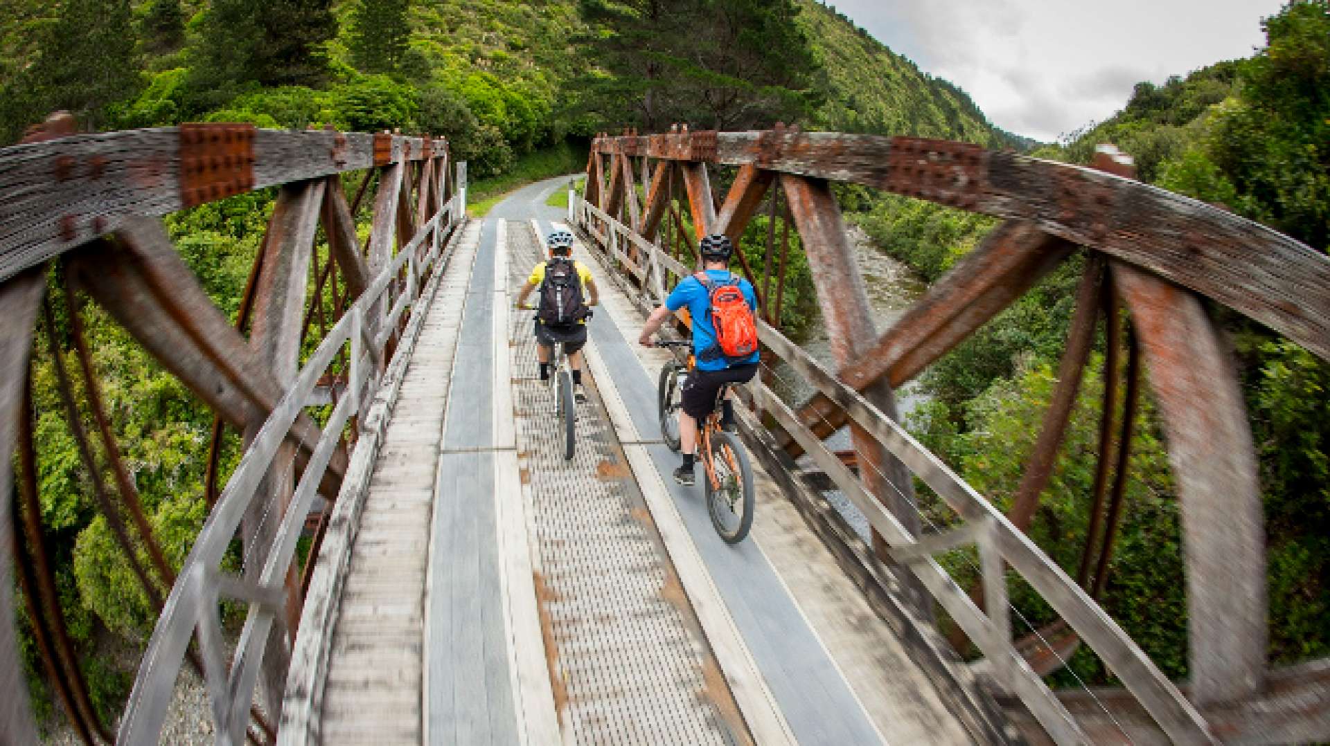 Remutaka cycle trail outlet